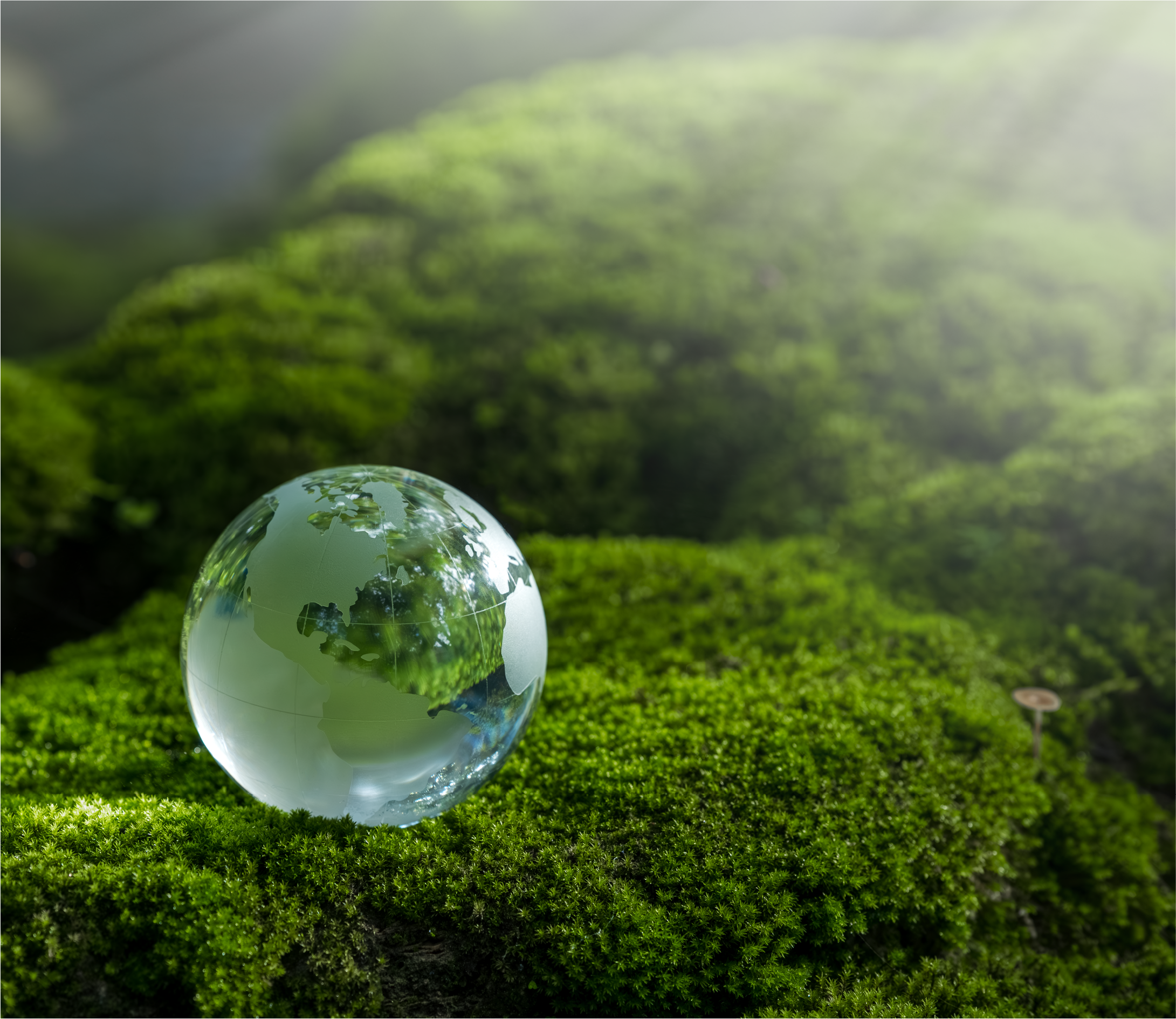 Eco-Green Commitment